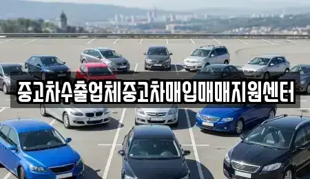 전북특별자치도 전주시 덕진구 우아동2가 중고차 전문 중고차수출업체중고차매입매매지원센터