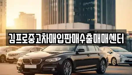 전북특별자치도 전주시 덕진구 우아동2가 중고차매입 전문 김프로중고차매입판매수출매매센터