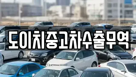 전북특별자치도 전주시 완산구 교동 중고차 전문 도이치중고차수출무역