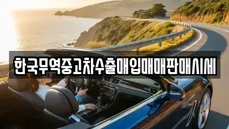 전북특별자치도 전주시 완산구 교동 중고차 전문 한국무역중고차수출매입매매판매시세