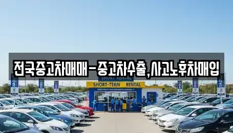 전북특별자치도 정읍시 상동 중고차 전문 전국중고차매매-중고차수출,사고노후차매입