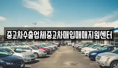 전북특별자치도 정읍시 상동 중고차 전문 중고차수출업체중고차매입매매지원센터