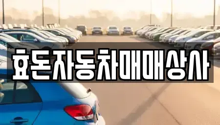 제주 서귀포시 보목동 중고차 전문 효돈자동차매매상사