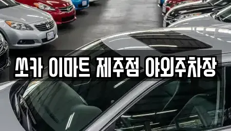 제주 제주시 삼도이동 렌트카 전문 쏘카 이마트 제주점 야외주차장