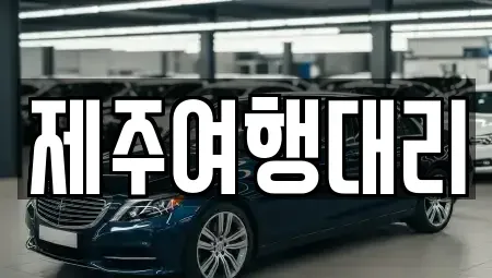 제주 제주시 삼도이동 렌트카 전문 제주여행대리