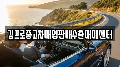 제주 제주시 삼도이동 중고차 전문 김프로중고차매입판매수출매매센터