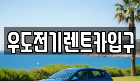 제주 제주시 우도면 렌트카 전문 우도전기렌트카입구