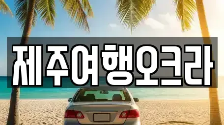 제주 제주시 월평동 렌트카 전문 제주여행오크라