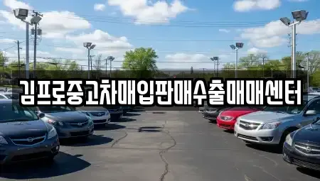 제주 제주시 월평동 중고차매매 전문 김프로중고차매입판매수출매매센터