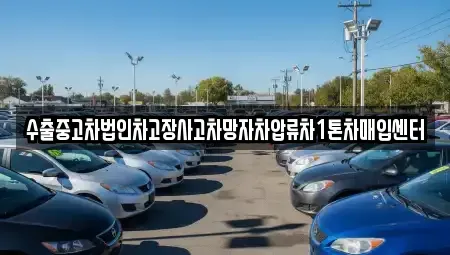 제주특별자치도 서귀포시 대정읍 중고차 전문 수출중고차법인차고장사고차망자차압류차1톤차매입센터
