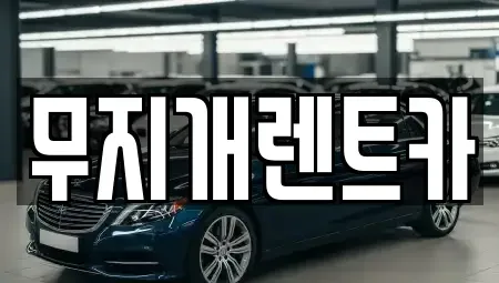 제주특별자치도 제주시 애월읍 렌트카 전문 무지개렌트카