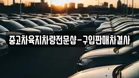 제주특별자치도 제주시 애월읍 중고차 전문 중고차육지차량전문샵-구입판매차결사