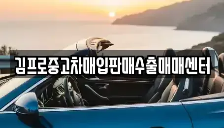 제주특별자치도 제주시 애월읍 중고차매입 전문 김프로중고차매입판매수출매매센터