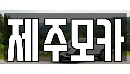 제주특별자치도 제주시 일도일동 렌트카 전문 제주모카