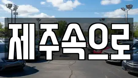 제주특별자치도 제주시 일도일동 렌트카 전문 제주속으로
