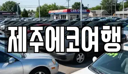 제주특별자치도 제주시 일도일동 렌트카 전문 제주에코여행