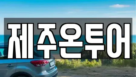 제주특별자치도 제주시 일도일동 렌트카 전문 제주온투어