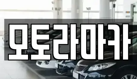 제주특별자치도 제주시 일도일동 중고차매매 전문 모토라마카