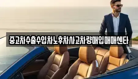 제주특별자치도 제주시 일도일동 중고차매매 전문 중고차수출수입차노후차사고차량매입매매센타