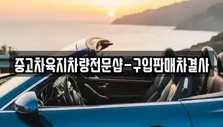 제주특별자치도 제주시 일도일동 중고차매매 전문 중고차육지차량전문샵-구입판매차결사