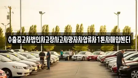 제주특별자치도 제주시 일도일동 중고차매입 전문 수출중고차법인차고장사고차망자차압류차1톤차매입센터