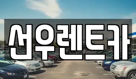 충남 금산군 렌트카 전문 선우렌트카