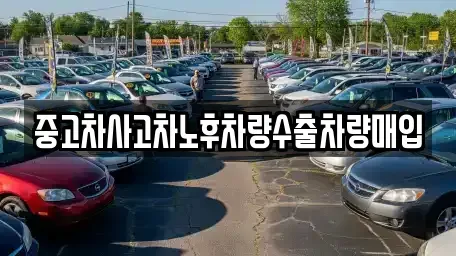 충남 금산군 중고차 전문 중고차사고차노후차량수출차량매입