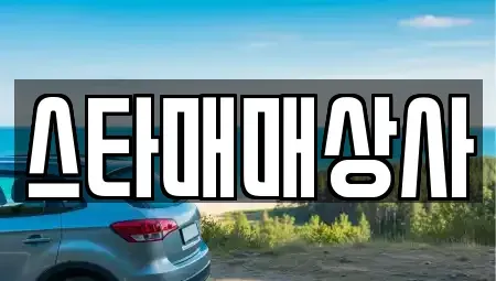 충남 논산시 채운면 중고차 전문 스타매매상사