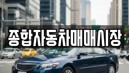 충남 논산시 채운면 중고차 전문 종합자동차매매시장