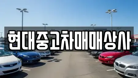 충남 논산시 채운면 중고차 전문 현대중고차매매상사