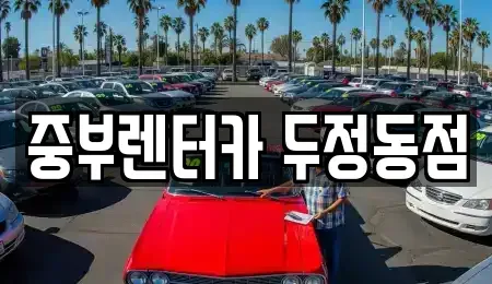 충남 렌트카 전문 중부렌터카 두정동점