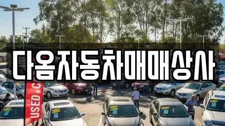 충남 보령시 남포면 중고차매매 전문 다옴자동차매매상사