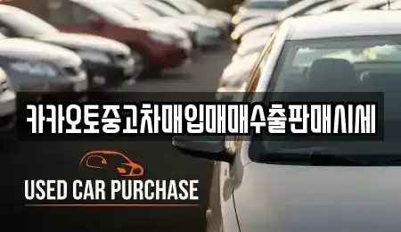 충남 보령시 남포면 중고차매입 전문 카카오토중고차매입매매수출판매시세
