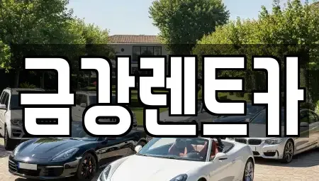 충남 서산시 인지면 렌트카 전문 금강렌트카
