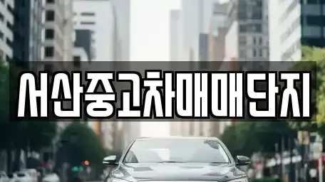 충남 서산시 인지면 중고차 전문 서산중고차매매단지