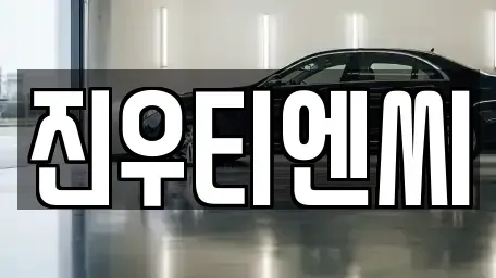 충남 중고차 전문 진우티엔씨