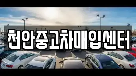 충남 중고차매입 전문 천안중고차매입센터