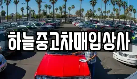 충남 중고차매입 전문 하늘중고차매입상사