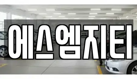충남 천안시 동남구 구성동 렌트카 전문 에스엠지티