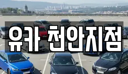 충남 천안시 동남구 구성동 중고차 전문 유카 천안지점