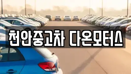 충남 천안시 동남구 구성동 중고차 전문 천안중고차 다온모터스