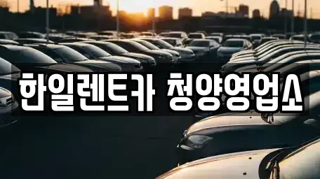 충남 청양군 비봉면 렌트카 전문 한일렌트카 청양영업소