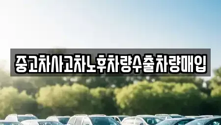 충남 청양군 비봉면 중고차 전문 중고차사고차노후차량수출차량매입
