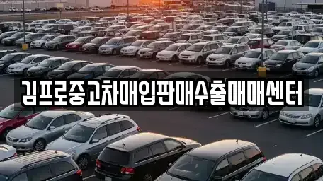 충북 단양군 영춘면 중고차매입 전문 김프로중고차매입판매수출매매센터