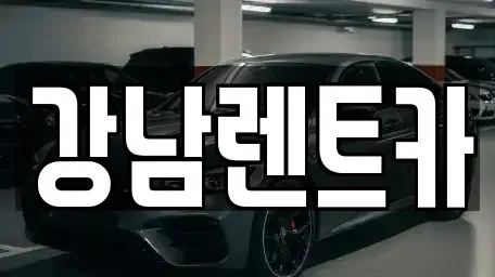 충북 옥천군 군북면 렌트카 전문 강남렌트카