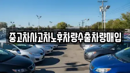 충북 옥천군 군북면 중고차매입 전문 중고차사고차노후차량수출차량매입