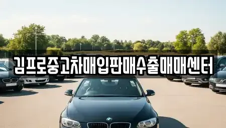 충북 옥천군 옥천읍 중고차매입 전문 김프로중고차매입판매수출매매센터