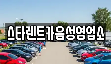 충북 음성군 생극면 렌트카 전문 스타렌트카음성영업소