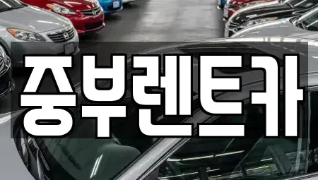 충북 음성군 생극면 렌트카 전문 중부렌트카