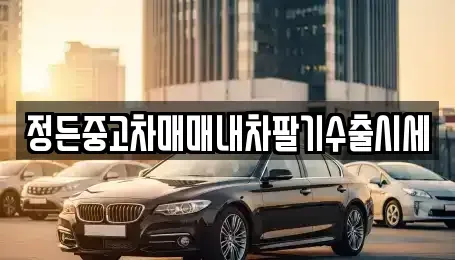 충북 음성군 생극면 중고차매매 전문 정든중고차매매내차팔기수출시세
